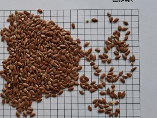 Nuestra empresa "Ingran BV" se especializa en el comercio