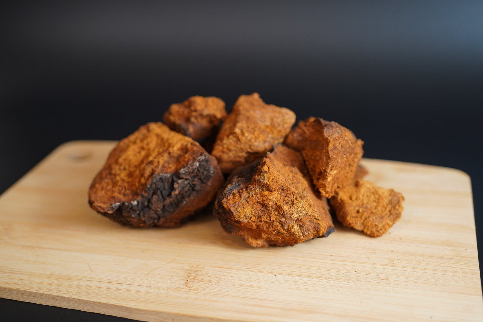 Ofrecemos chaga (hongo de abedul) seco de alta calidad a granel