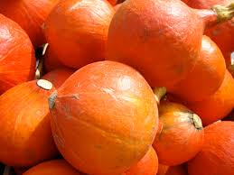 Buscamos calabaza Hokkaido ecológica