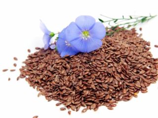 La empresa de cereales "GRANASCO" exporta lino marrón originario