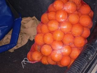 Naranjas de zumo de palma del rio de mucha