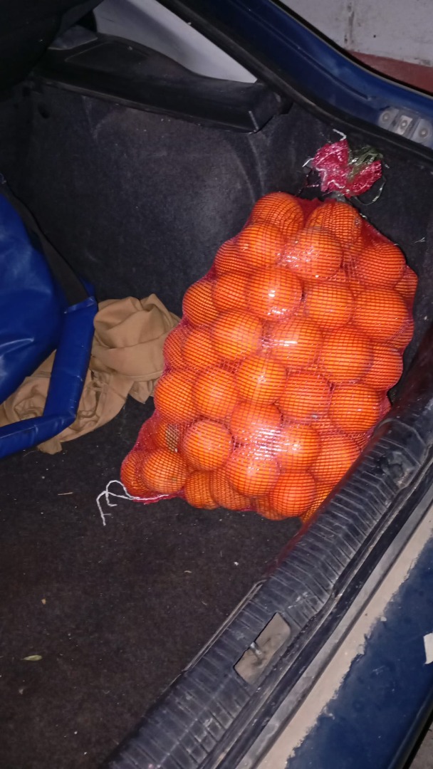 Naranjas de zumo de palma del rio de mucha calidad de envían a toda España [teléfono]