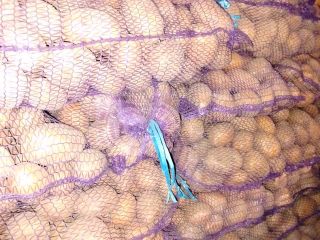 Vendo patatas de la variedad Soraya, calibre 45+. Patatas