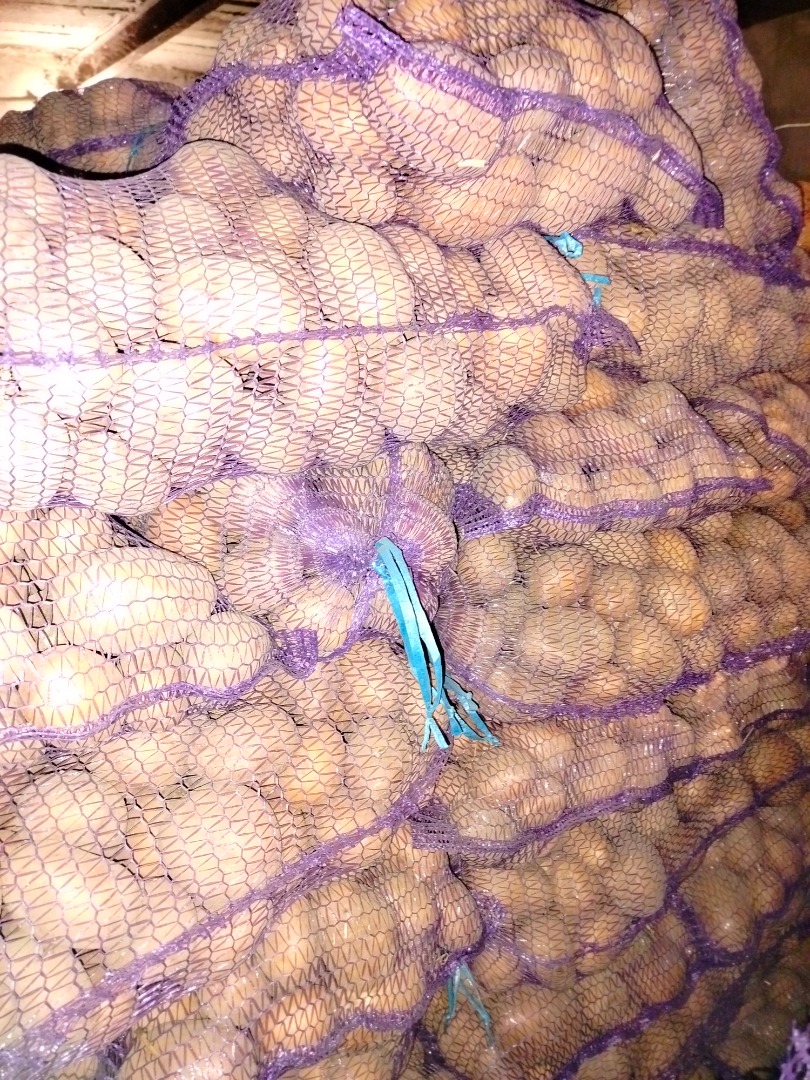 Vendo patatas de la variedad Soraya, calibre 45+