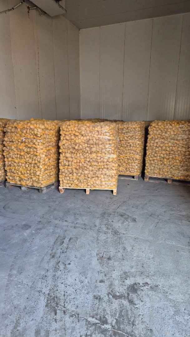 Hola, vendo por ejemplo una patata envasada en 10kg después de cepillarla, bonita y limpia, contacto telefónico