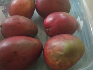 Mango de primera calidad ecológico , cultivado con cariño