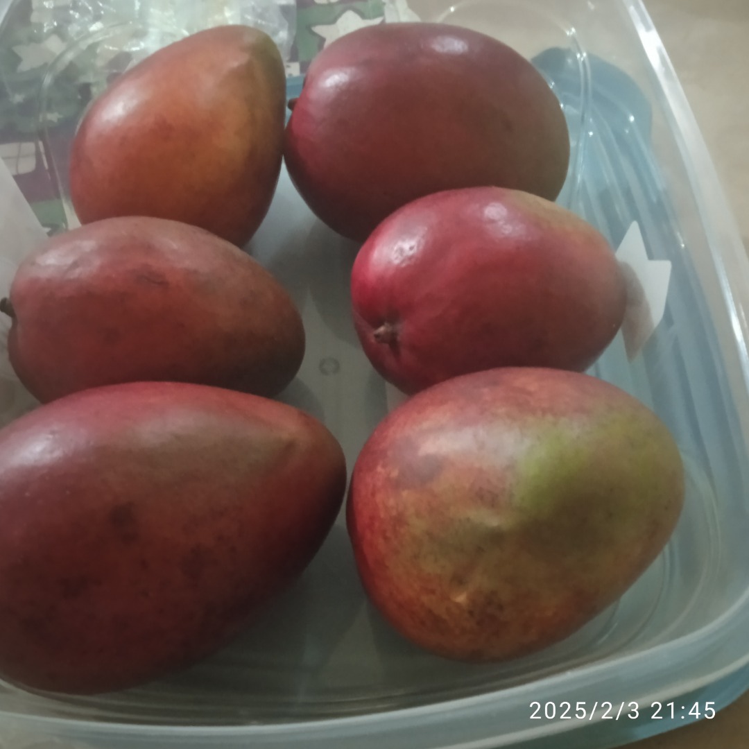 Mango de primera calidad ecológico , cultivado con cariño y con la máxima pasión aseguran un producto inmejorable porq el lugar donde se da este bendito