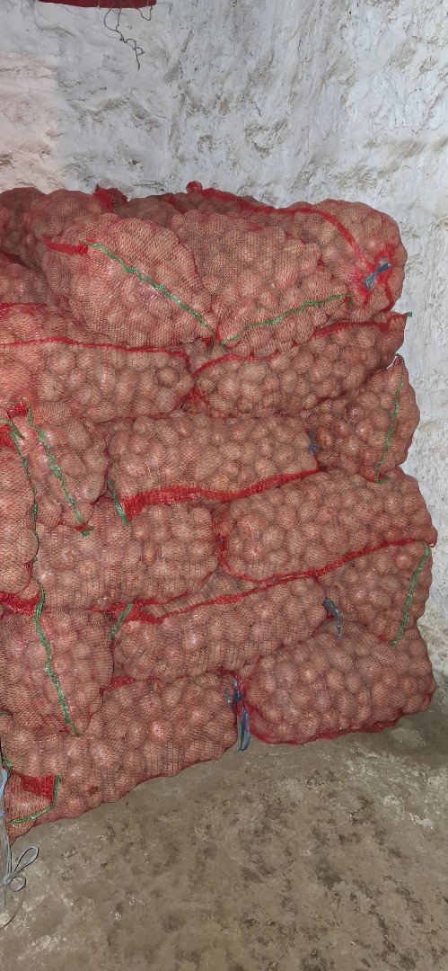Vendo patatas de consumo Bellarosa, cantidad 4500 kg, en sacos de 25 kg, 2 lei/kg