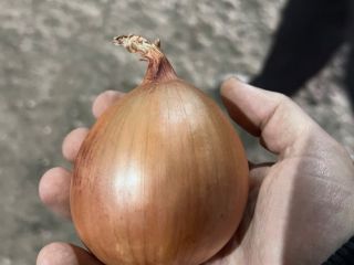 Bolsas de plástico de 25 kg