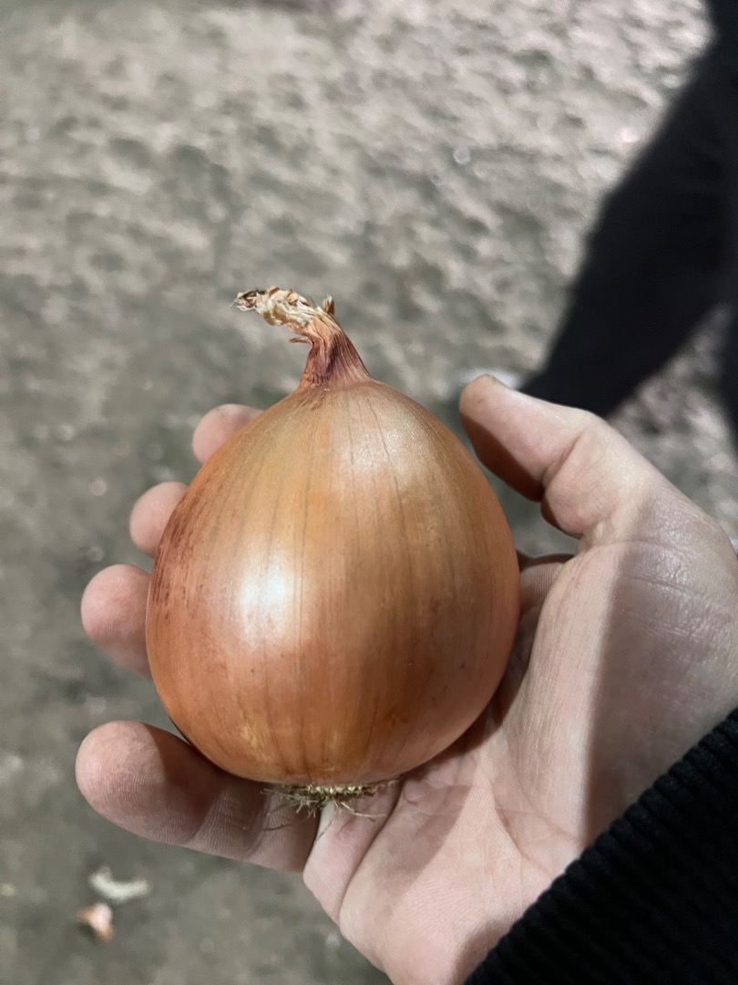 Bolsas de plástico de 25 kg