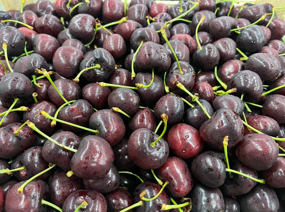 Inicio de temporada del 10 de junio al 20 de julio Variedad: Grace Star Sweet Valina Sweet Sarreta Kordia Regina Ferrovia Fertard Cantidad total 400 toneladas