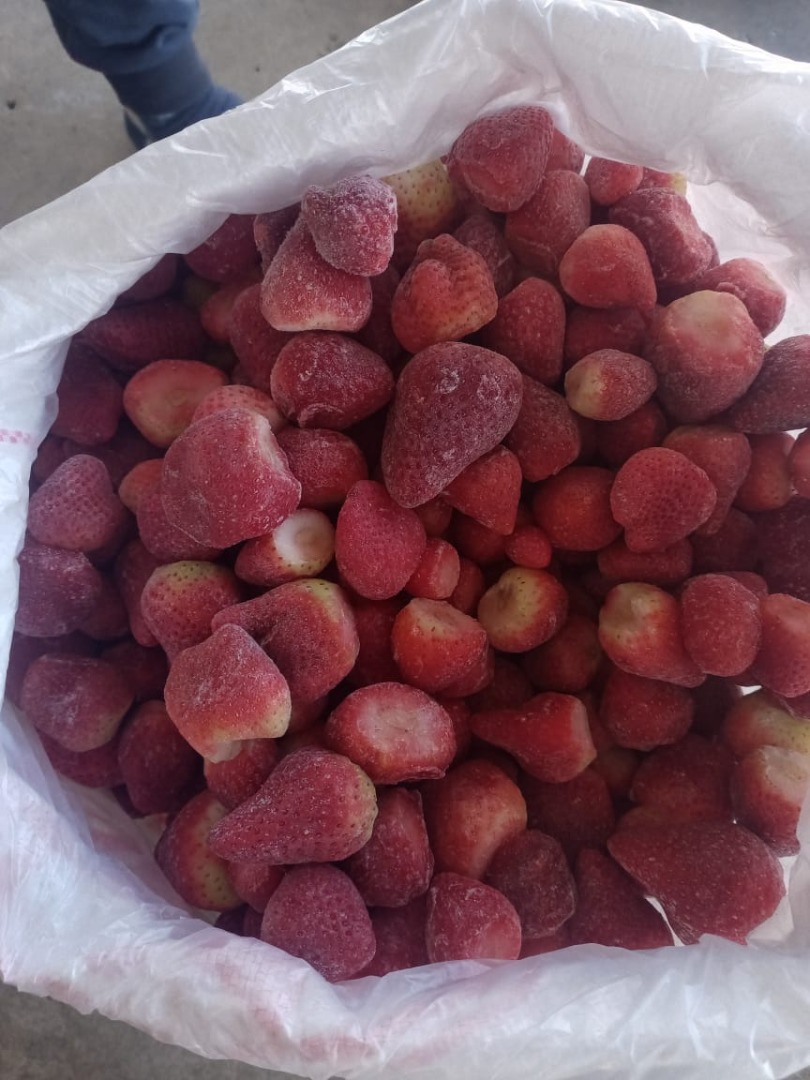 Fresas congeladas de primera clase con la mejor calidad y cumpliendo con las especificaciones internacionales, basadas en todos los certificados de seguridad