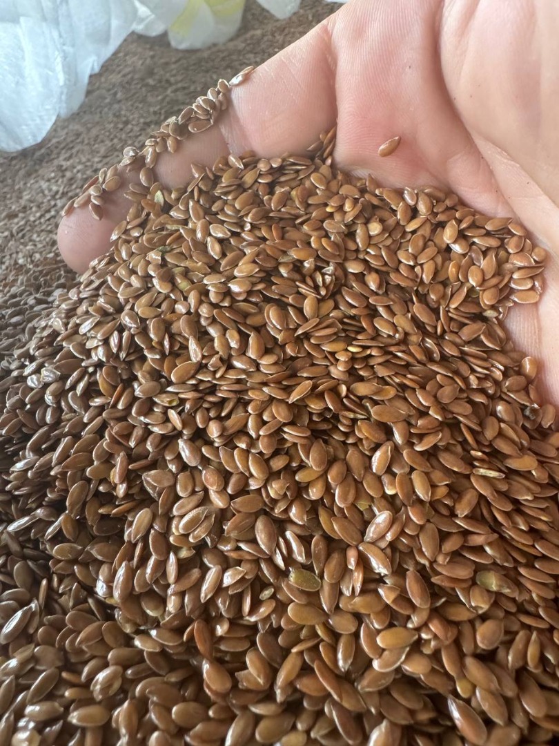 Venta de lino marrón para exportación 99,9% de humedad hasta 8% en big bag de 22 toneladas FCA Odessa 650$ por tonelada o 620€ el 24.01.25