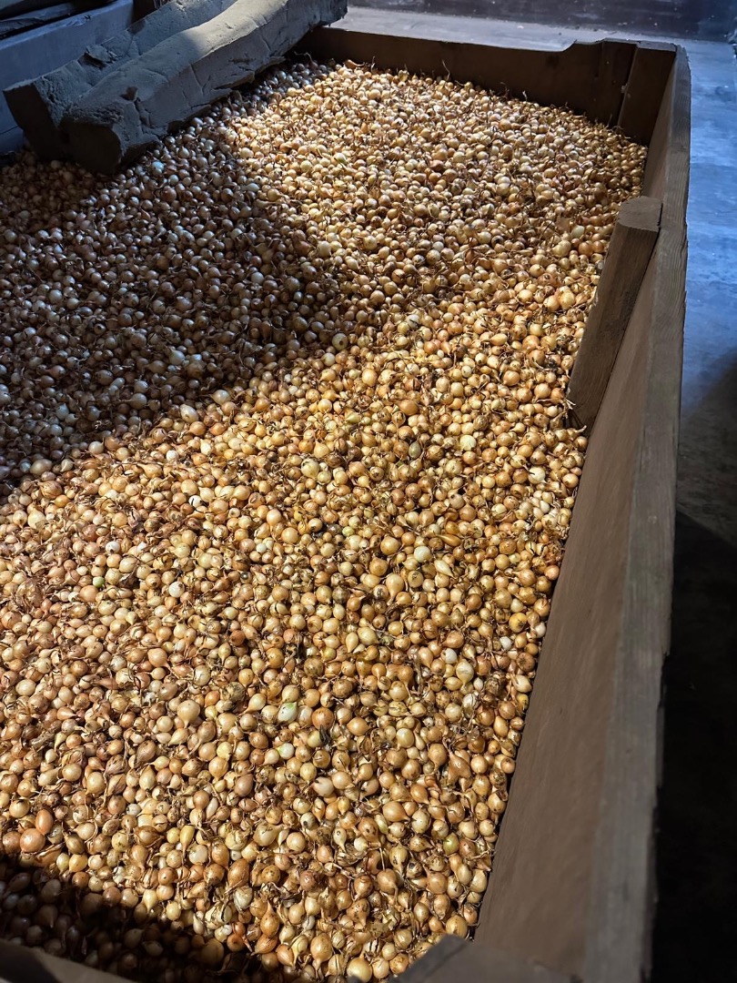 Hola, busco para mi cliente cebolletas de Stuttgart, calibre 14/17, 17/21, 10/21 mm, sacos de 10 kg, 2-3 varas