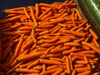 Venderé zanahorias lavadas para el mercado y kilovatios. Tengo