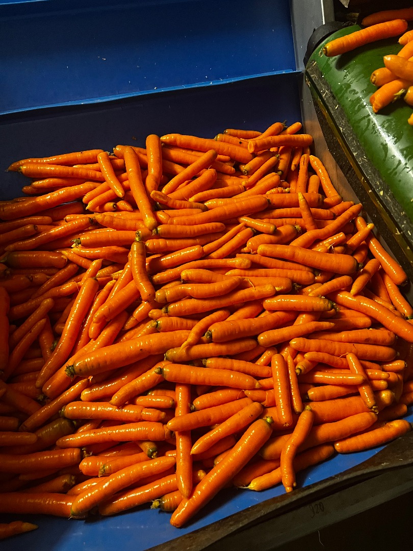 Venderé zanahorias lavadas para el mercado y kilovatios