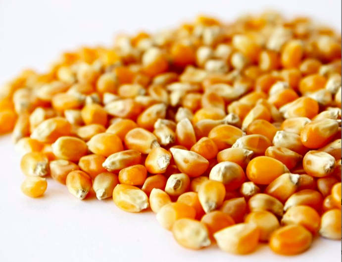 Palomitas de maíz húngaras a la venta