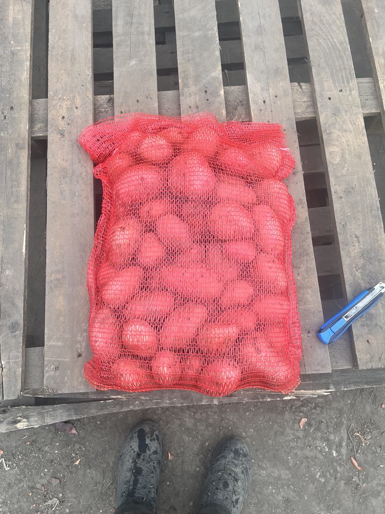 Se vende Patatas de mesa Redfantasy 45-75 Cepilladas Envase de 10 kg o Big bag 1t-50t 0620\9521564 [número de teléfono] Inglés y alemán por favor en este