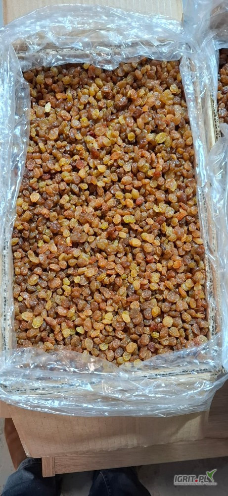 Somos una empresa importadora directa de nueces y frutas secas de Irán (y Uzbekistán)