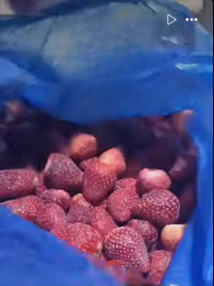 Fresa congelada IQF Grado: A Variedad: Festival y Fortuna Embalaje: Caja de cartón, bolsas