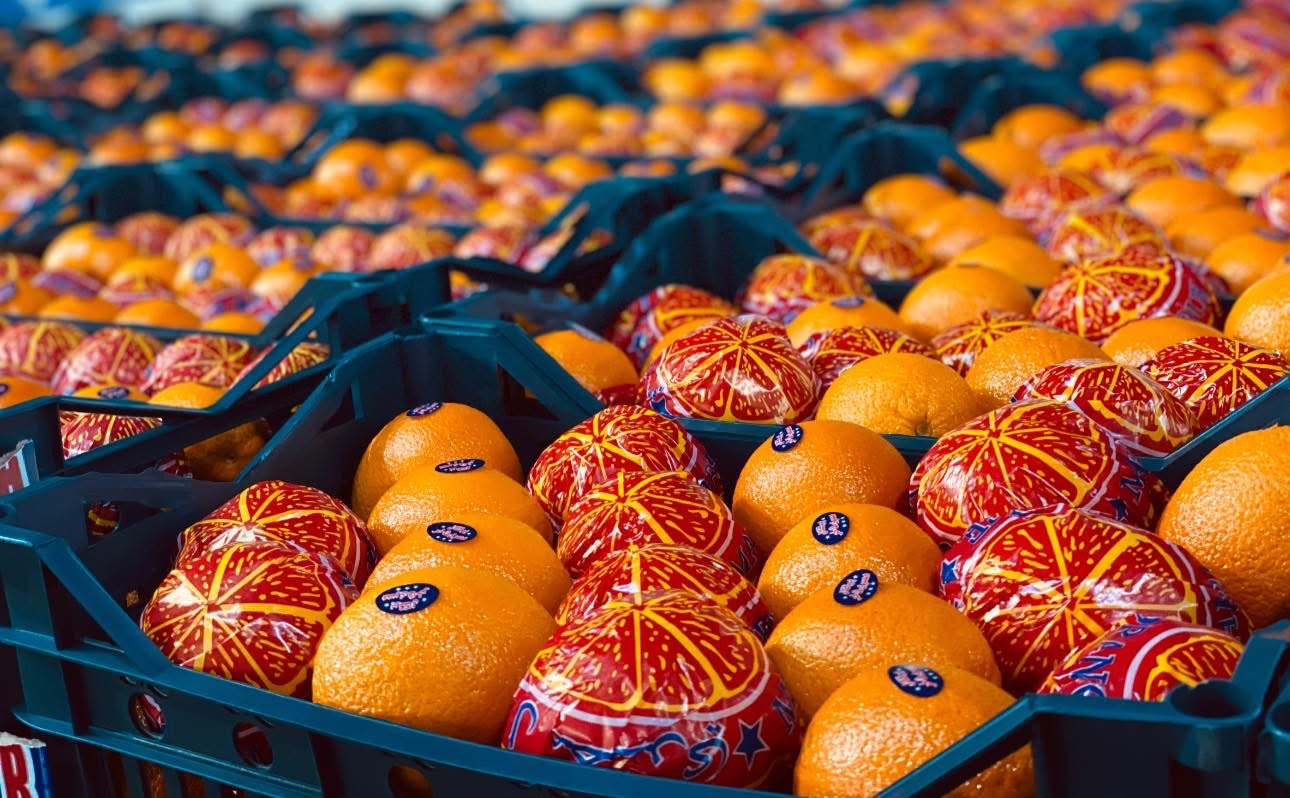 Naranja fresca Valencia