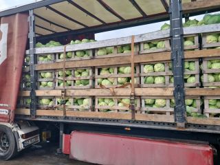 FIA GOGOT FRUIT GRECIA SALONIK, DEVOLVERÁ LA FRESCURA DE