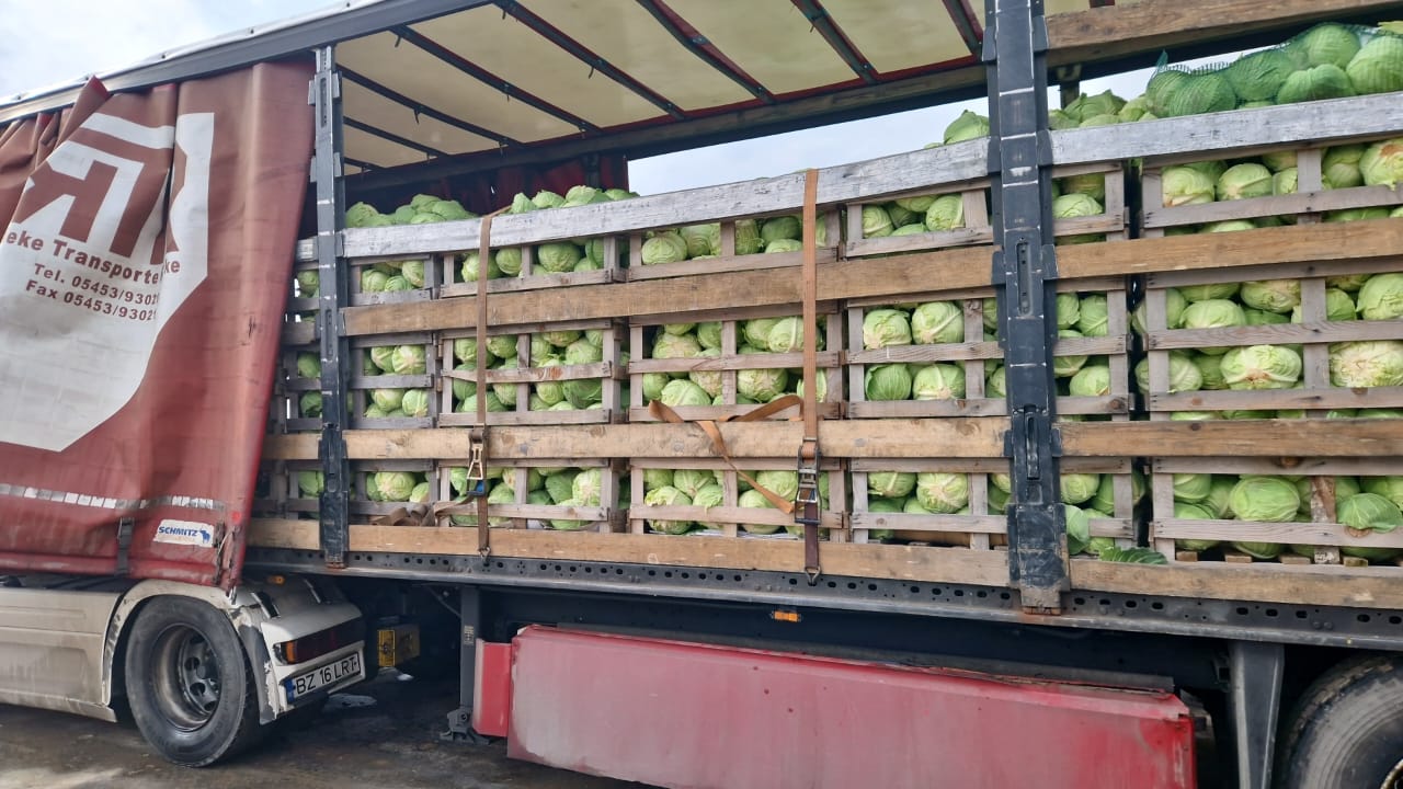 FIA GOGOT FRUIT GRECIA SALONIK, DEVOLVERÁ LA FRESCURA DE LAS VERDURAS DE LA TEMPORADA INVIERNO-PRIMAVERA CON COL FRESCA, Y PRECIO DE PRODUCTOR CON GRANDES