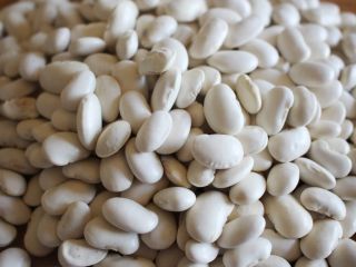 Hola. Ofrezco a la venta frijoles blancos Jaś karłowy,
