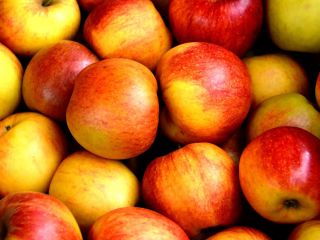 OFERTA DE COMPRA DE MANZANAS PARA CONSUMO Y FINES