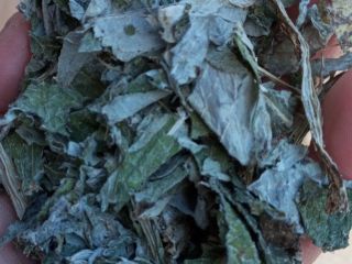 Alcachofa en venta - recolección directa en secadero de