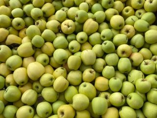 manzana dorada deliciosa