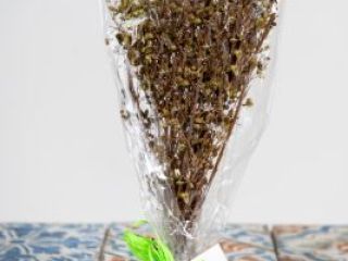 Orégano orgánico en manojos de 30g Nuestro orégano es