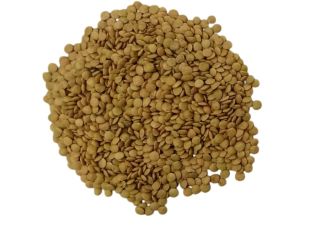 Lentejas verdes 99,5% puras. Precio de DDP FTL PL,