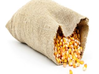 Tipo de almacenamiento Seco Especificación Maíz seco Vida útil
