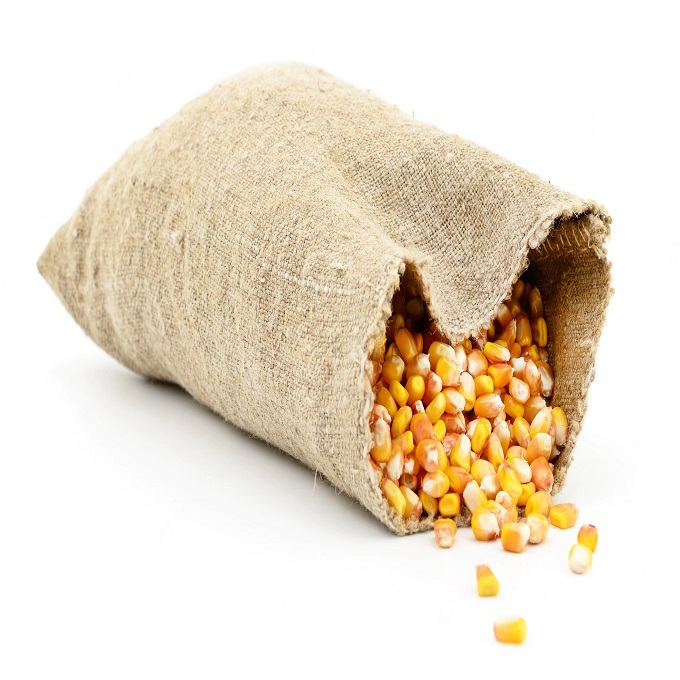 Tipo de almacenamiento Seco Especificación Maíz seco Vida útil 24 meses Ingredientes de fábrica del fabricante Contenido de maíz seco Instrucciones de uso del