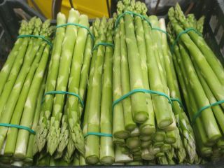 Venderé espárragos verdes, celadones, a partir de abril.