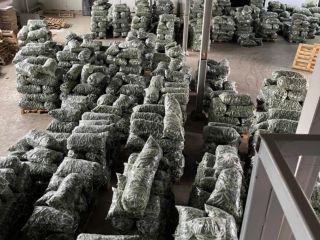 Descripción: Verduras frescas - ¡Pepinos directamente de Rumania! ¡La