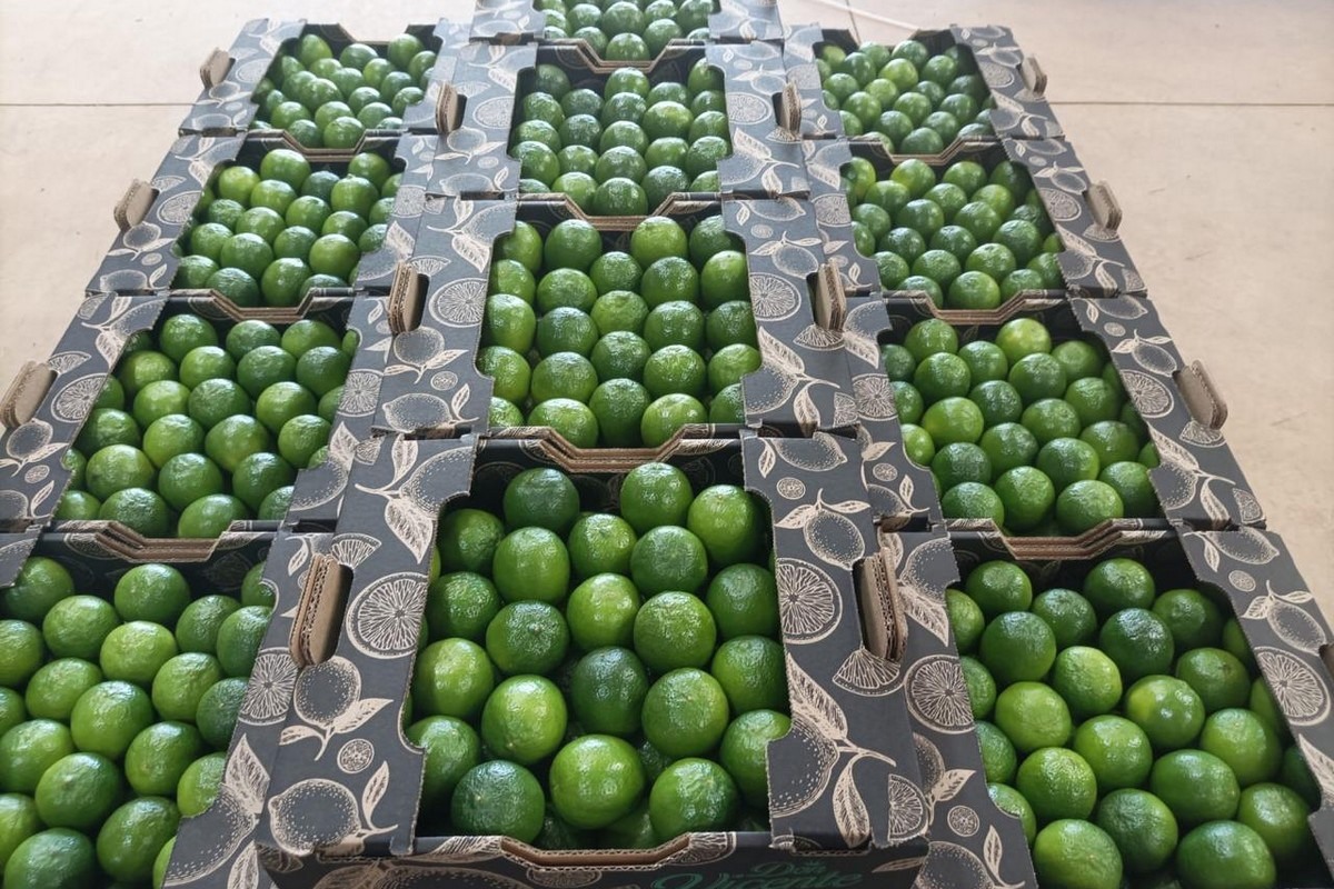 Lima fresca directamente de la finca vía aeropuertos