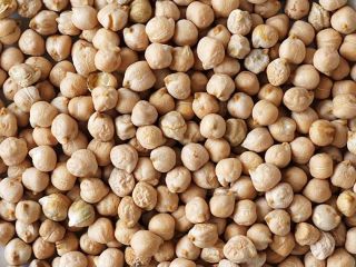 Vendo garbanzos, cosecha 2024, para semilla, variedad Burna. También