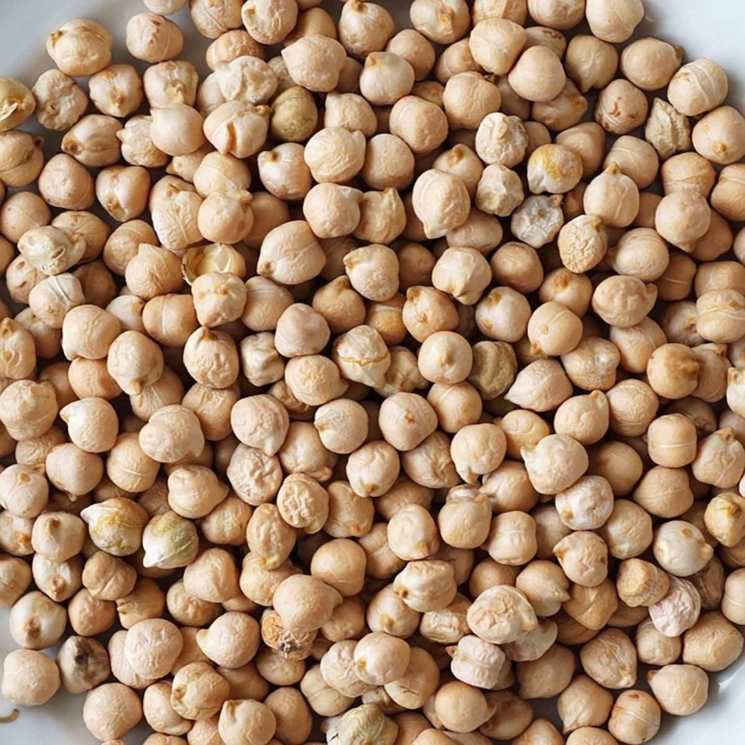 Vendo garbanzos, cosecha 2024, para semilla, variedad Burna