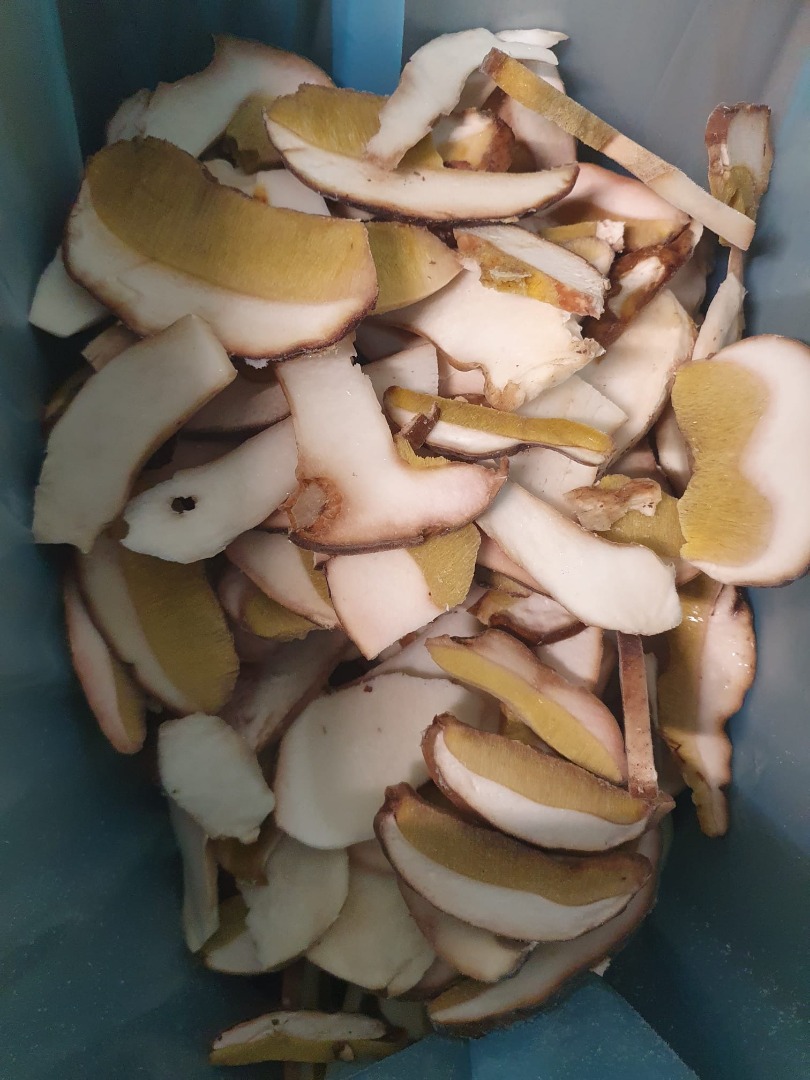 Boletus edulis en rodajas, primera calidad