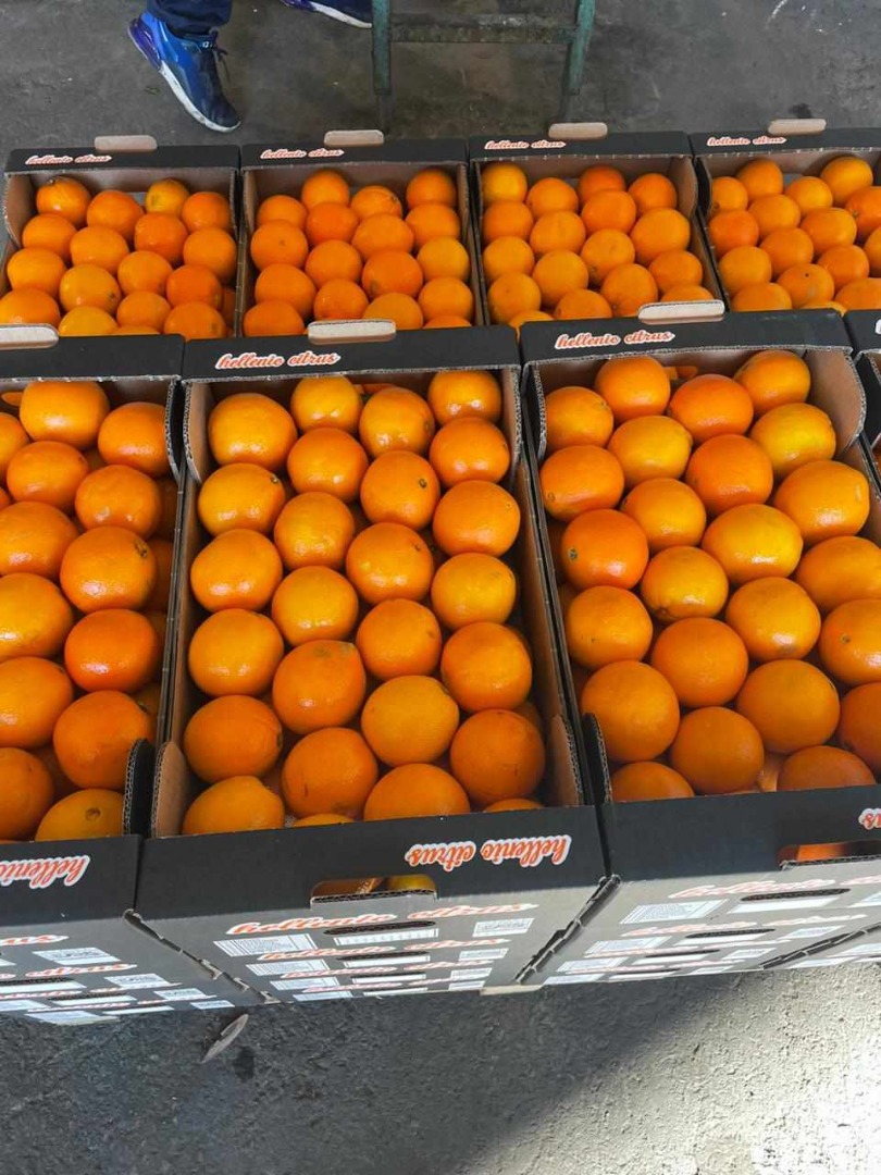 Mercancía fresca cosechada el mismo día de la carga...naranjas de primera calidad envasadas a petición del cliente en cajas de 15 kg o cajas de cartón