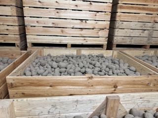 Venderé patatas amarillas de las siguientes variedades: OTOLIA, SORAYA,