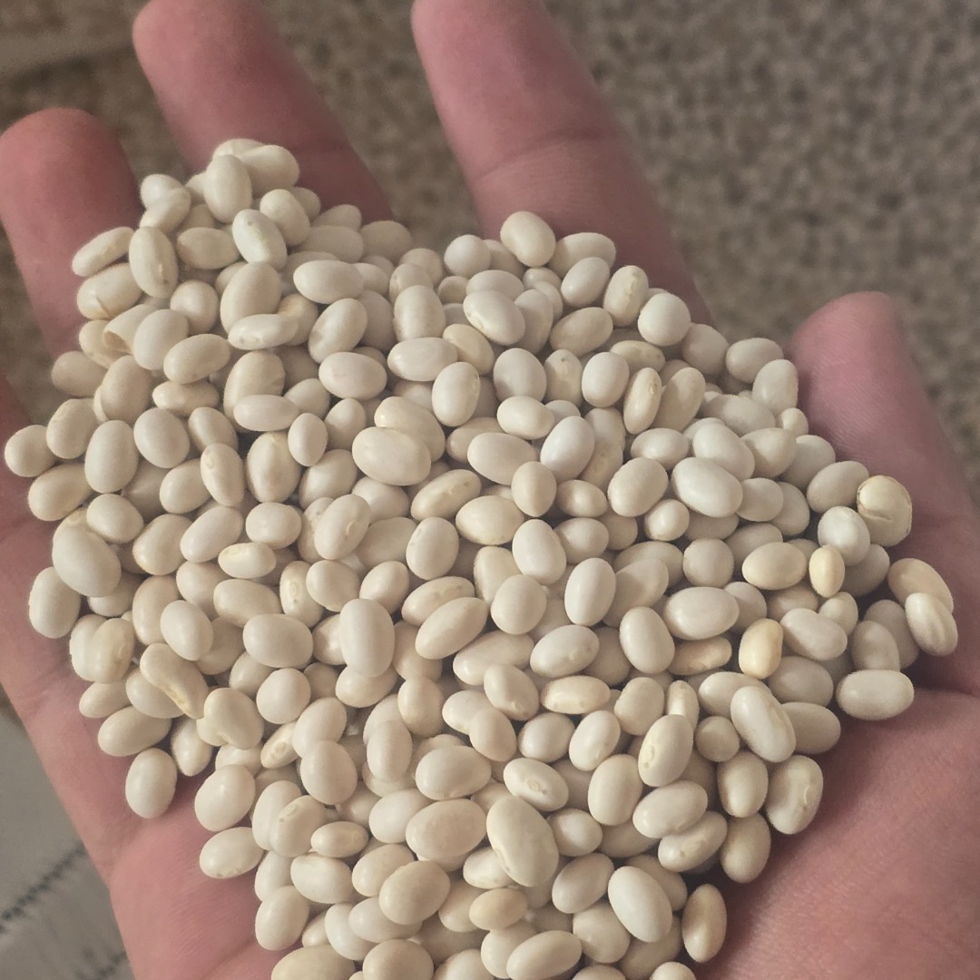 Vendo frijoles, calidad 1, precio al por mayor 6 lei por kg en grandes cantidades
