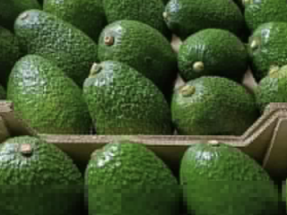 Vendemos aguacates Hass certificados directamente de nuestras granjas en