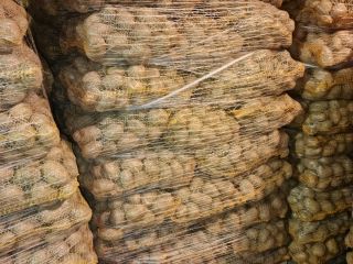 Hola. Tengo patatas amarillas y rojas a la venta.