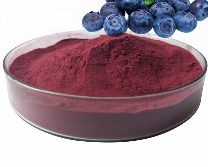 Producto orgánico de alta calidad elaborado a partir de arándanos de montaña liofilizados con certificación orgánica