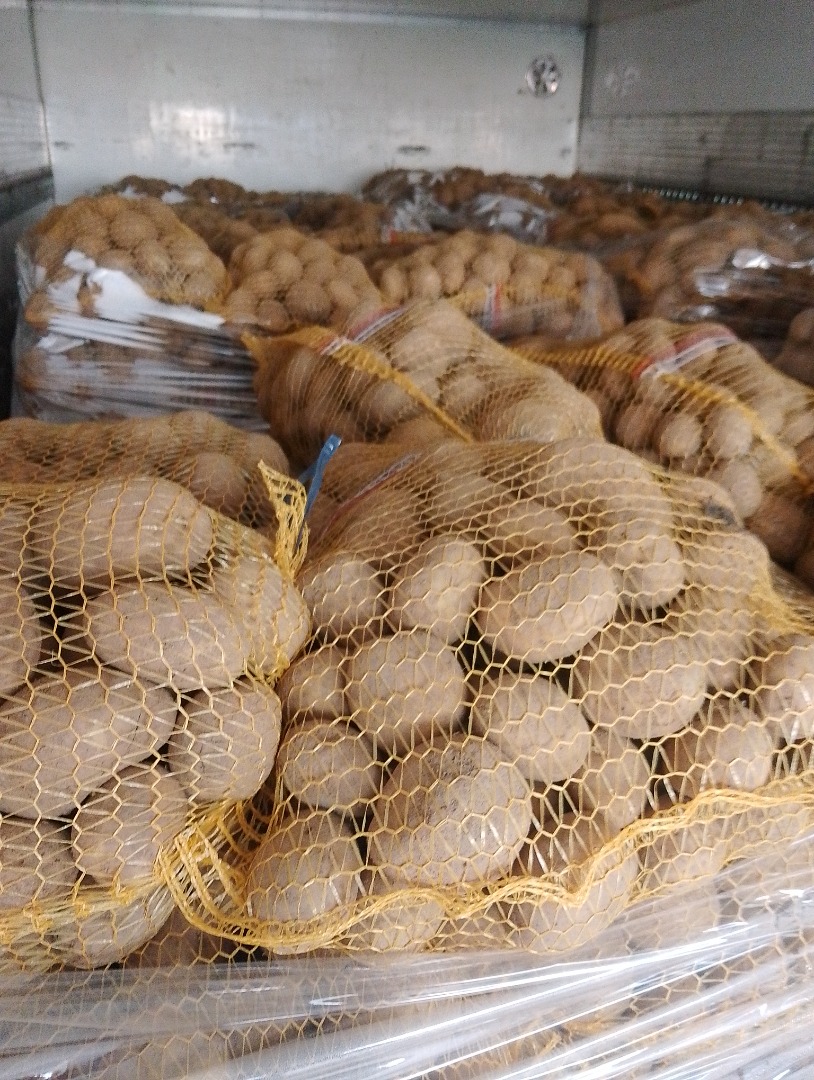 Vendo papas comestibles amarillas y rojas en cantidades al por mayor con entrega