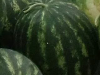 Producto ecológico de Azerbaiyán