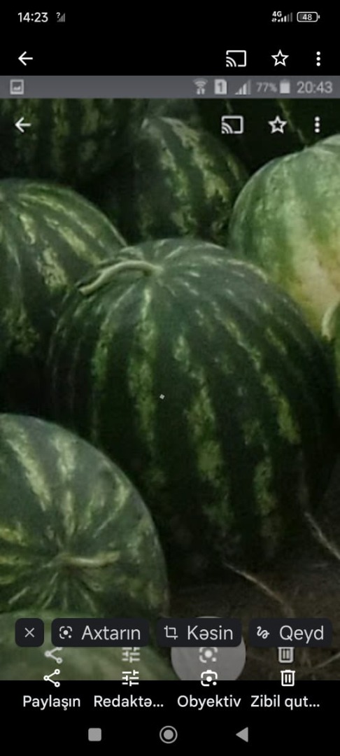 Producto ecológico de Azerbaiyán